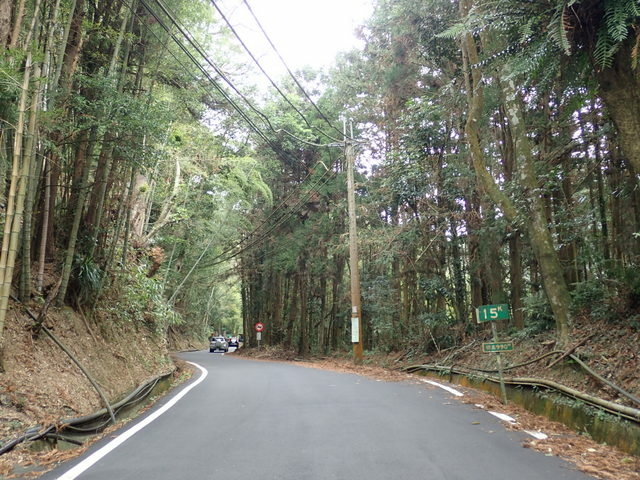 橫嶺山步道 (10).JPG