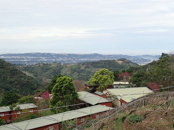 橫嶺山步道 (8).JPG