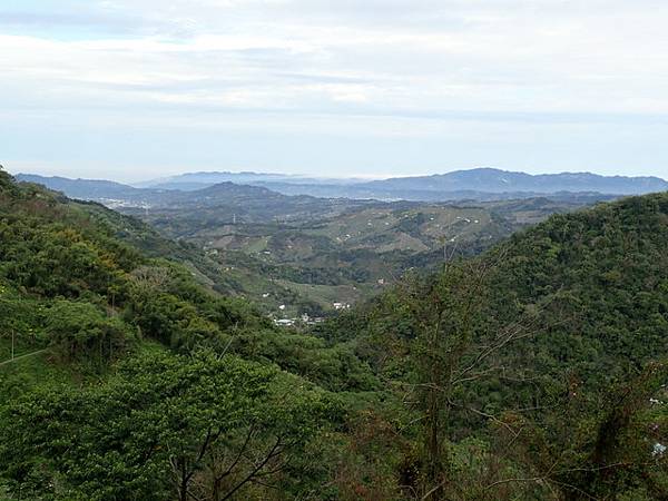 橫嶺山步道 (6).JPG