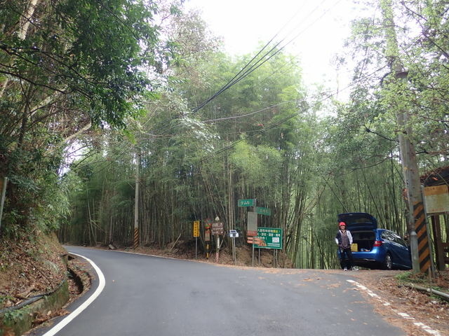 橫嶺山步道 (11).JPG