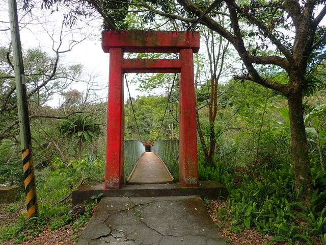 橫嶺山步道 (20).JPG