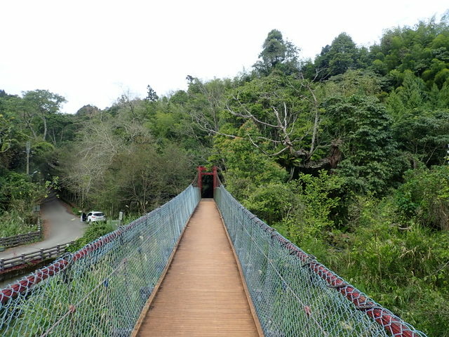 橫嶺山步道 (18).JPG