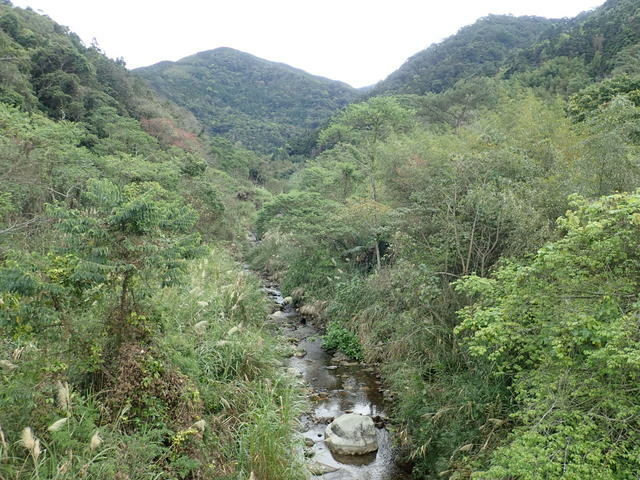 橫嶺山步道 (17).JPG