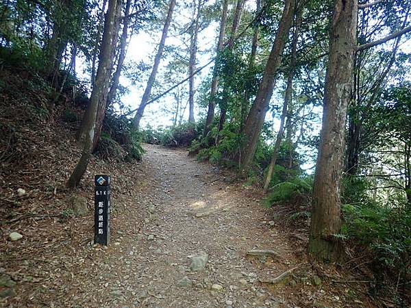 橫嶺山步道 (34).JPG