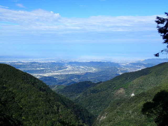 橫嶺山步道 (35).JPG