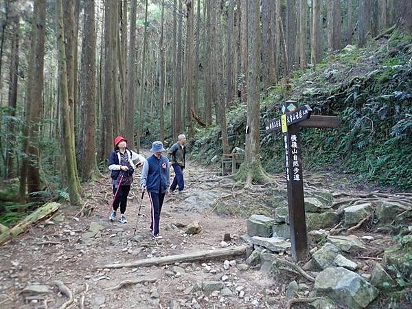 橫嶺山步道 (44).JPG