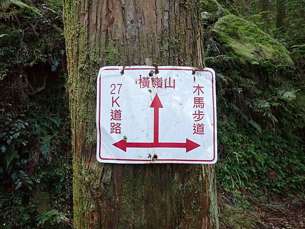 橫嶺山步道 (41).JPG