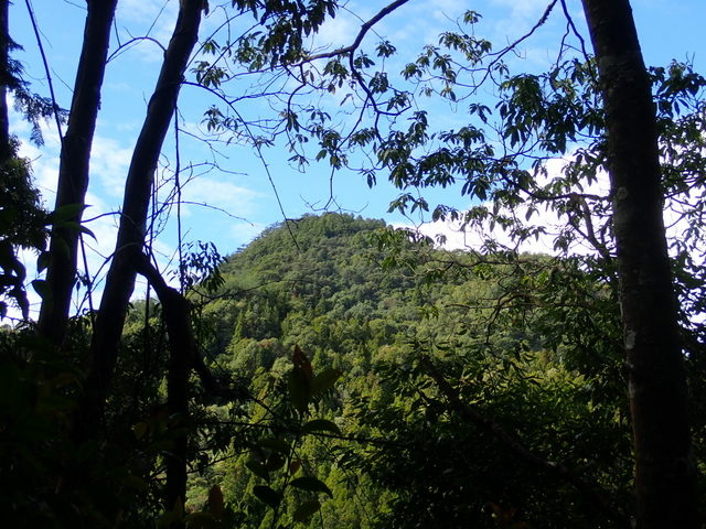 橫嶺山步道 (39).JPG