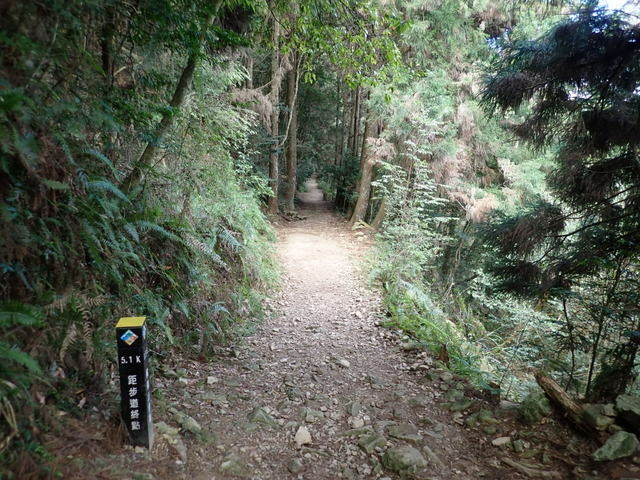 橫嶺山步道 (50).JPG