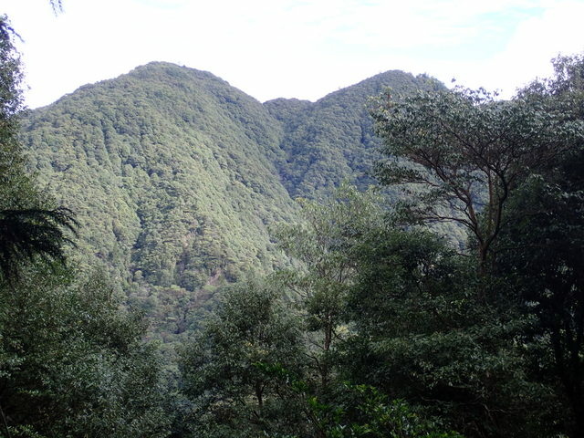 橫嶺山步道 (69).JPG