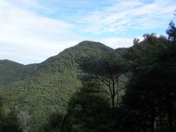 橫嶺山步道 (68).JPG