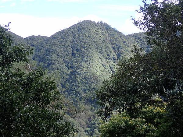 橫嶺山步道 (66).JPG