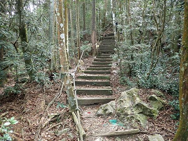 橫嶺山步道 (84).JPG