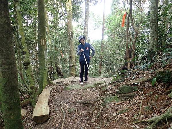 橫嶺山步道 (81).JPG