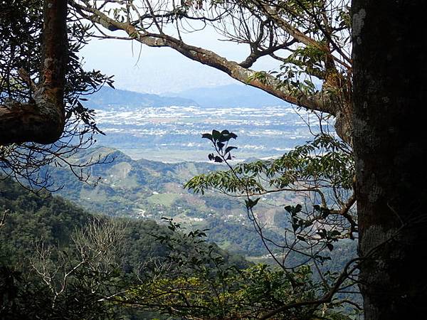 橫嶺山步道 (85).JPG