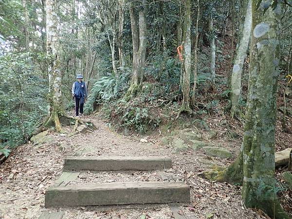 橫嶺山步道 (80).JPG