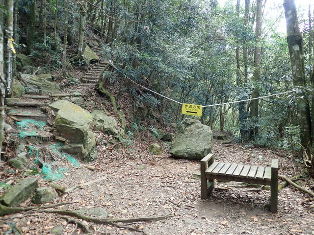 橫嶺山步道 (87).JPG