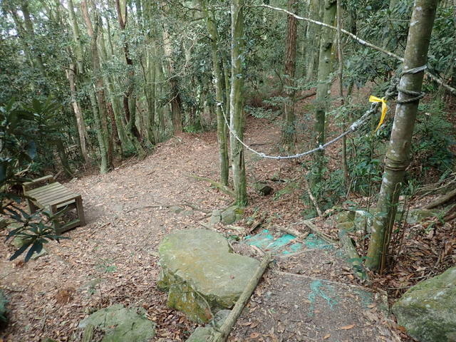 橫嶺山步道 (86).JPG