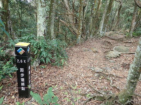 橫嶺山步道 (95).JPG