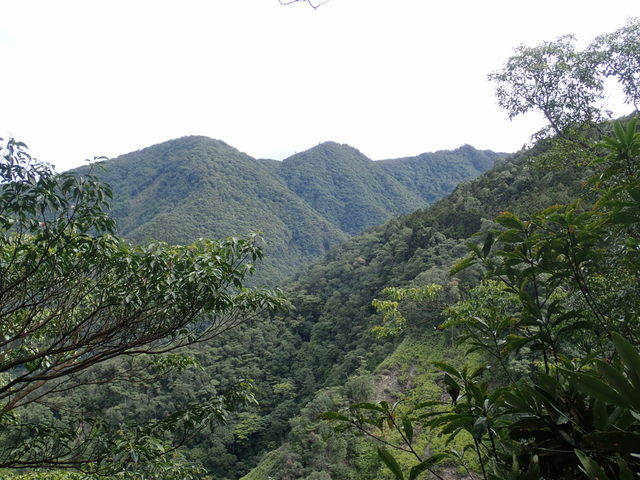 橫嶺山步道 (97).JPG