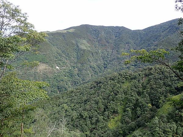 橫嶺山步道 (96).JPG