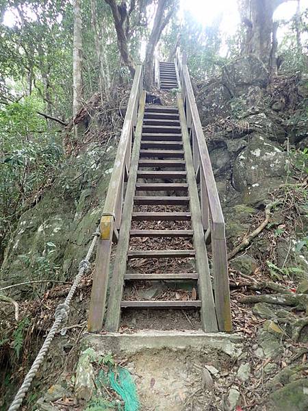 橫嶺山步道 (110).JPG