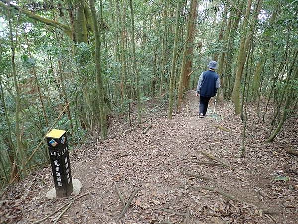 橫嶺山步道 (117).JPG