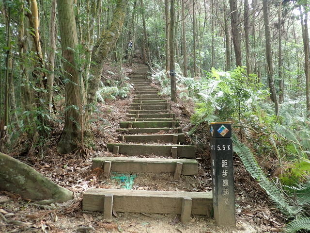 橫嶺山步道 (123).JPG