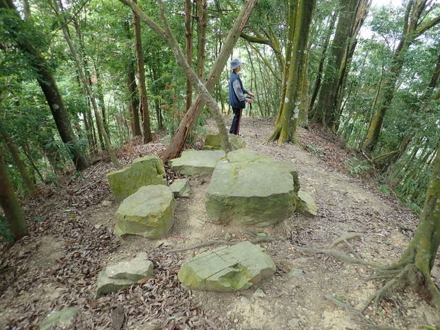 橫嶺山步道 (126).JPG