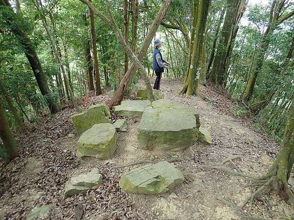 橫嶺山步道 (126).JPG