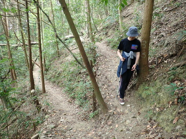 橫嶺山步道 (131).JPG