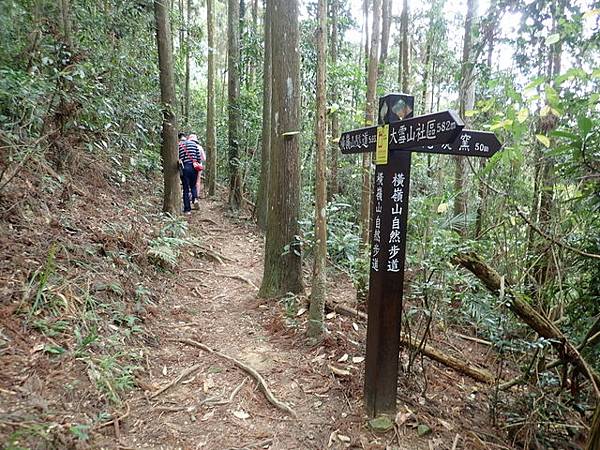 橫嶺山步道 (134).JPG