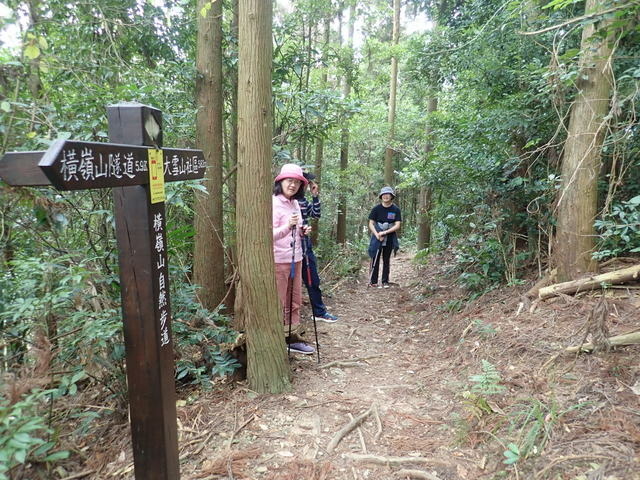 橫嶺山步道 (133).JPG