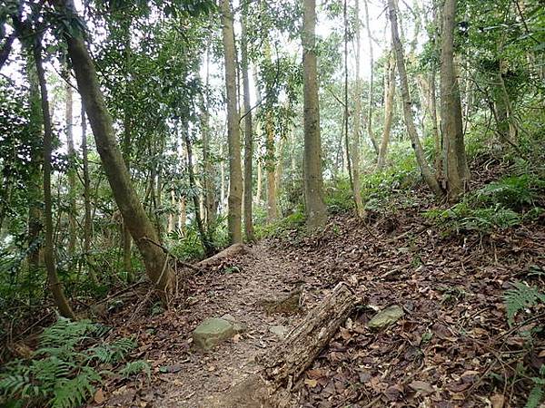 橫嶺山步道 (139).JPG