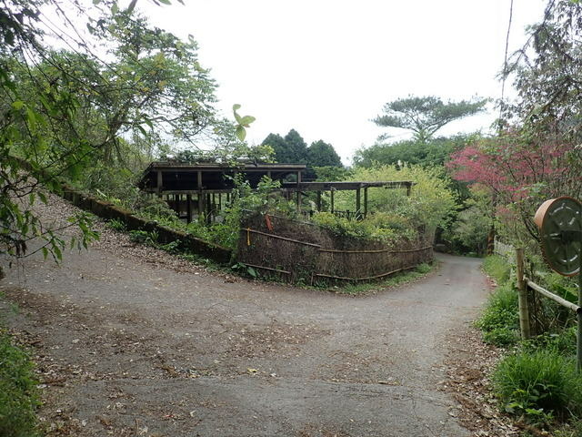 橫嶺山步道 (150).JPG