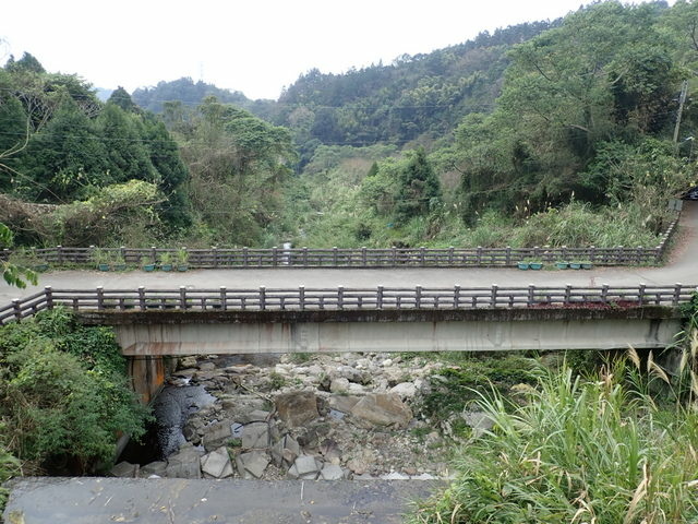 橫嶺山步道 (157).JPG