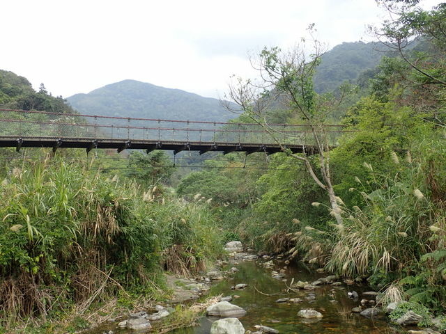 橫嶺山步道 (159).JPG