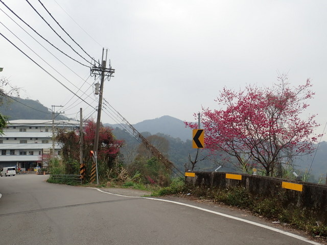 橫嶺山步道 (169).JPG