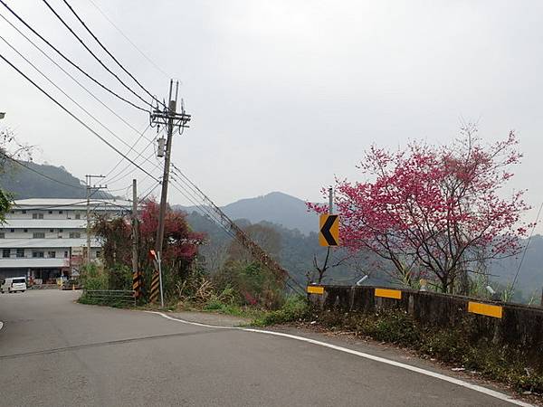 橫嶺山步道 (169).JPG