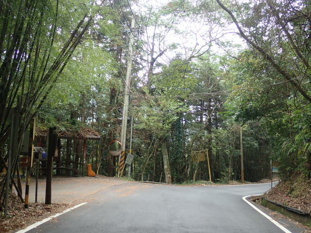 橫嶺山步道 (167).JPG