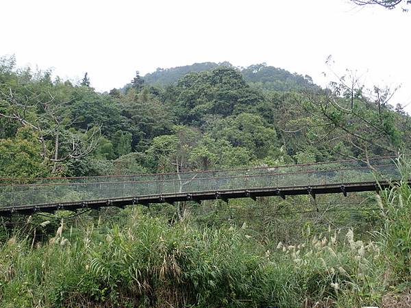 橫嶺山步道 (162).JPG