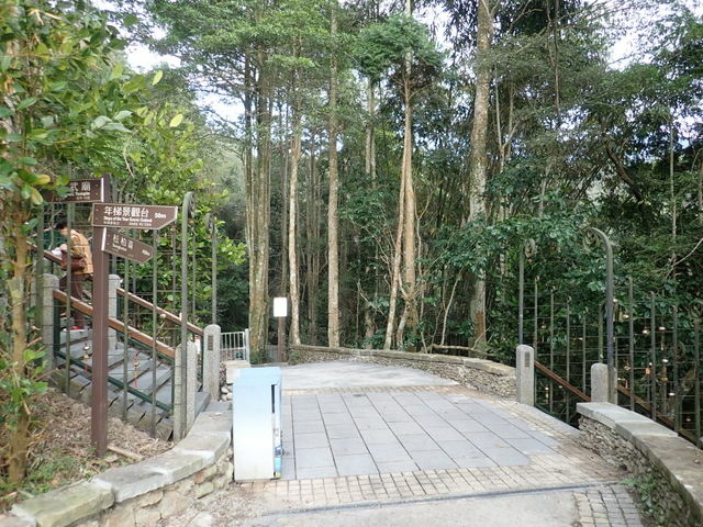 內湖山步道 (61).jpg