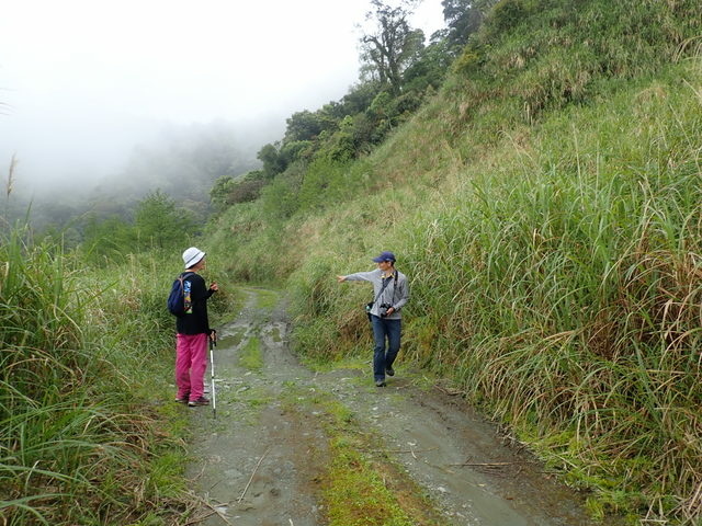 蘭崁山 (182).JPG