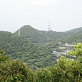 龍船岩 (10).jpg