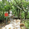 龍船岩 (12).jpg