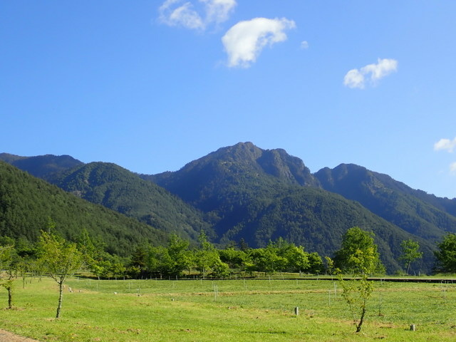 雪山東峰 (12).JPG