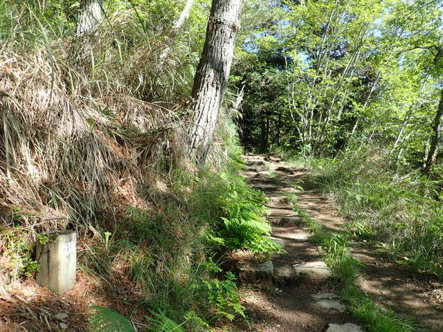 雪山東峰 (24).JPG