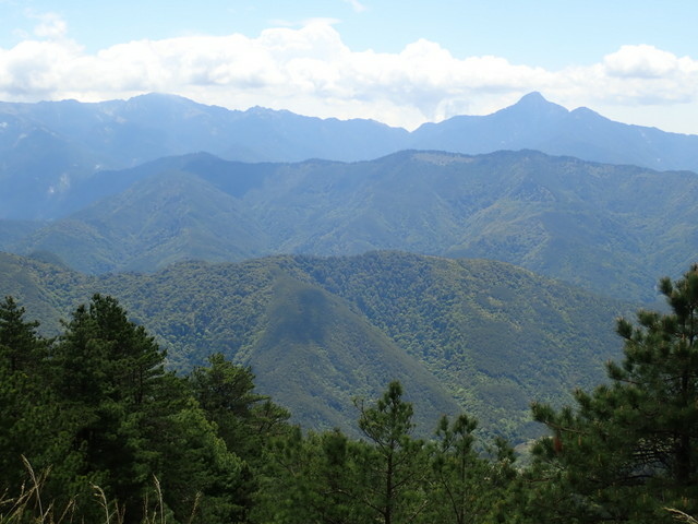 雪山東峰 (82).JPG