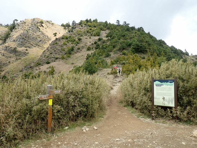 雪山東峰 (94).JPG