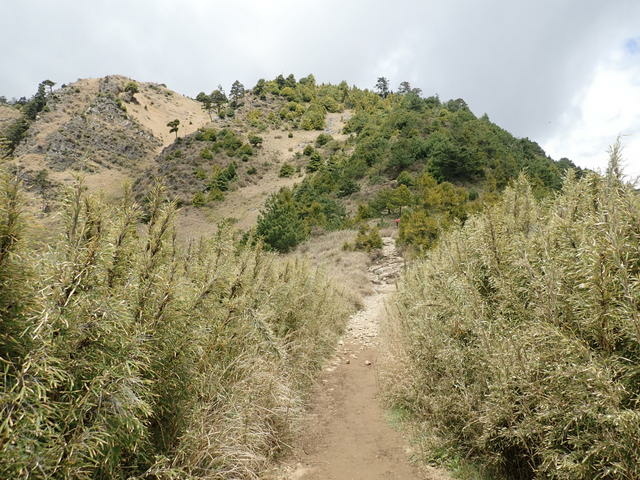 雪山東峰 (96).JPG